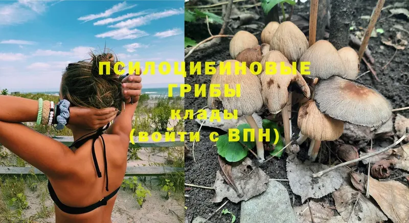 Галлюциногенные грибы Magic Shrooms  Куса 